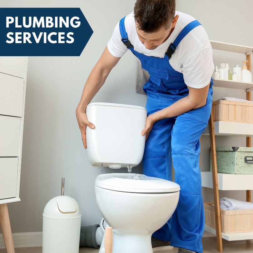 Plumbing Company in Circle Pines, MN